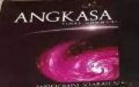 Image of Angkasa Luar Ensiklomini Sejarah Sainstek