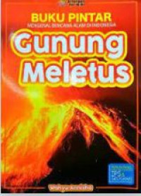 Image of Buku pintar mengenal bencana alam di Indonesia : gunung meletus
