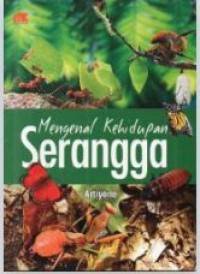 Image of Mengenal Kehidupan Serangga